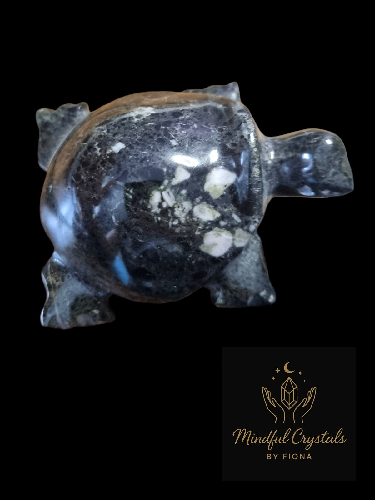 Onyx Turtle