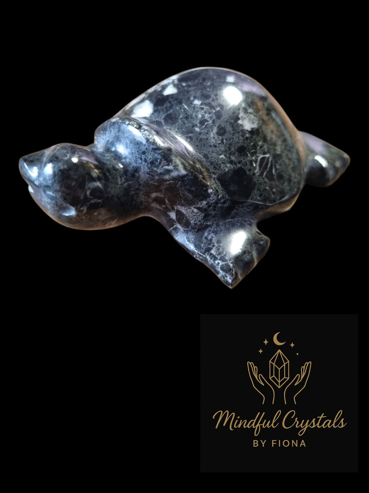Onyx Turtle