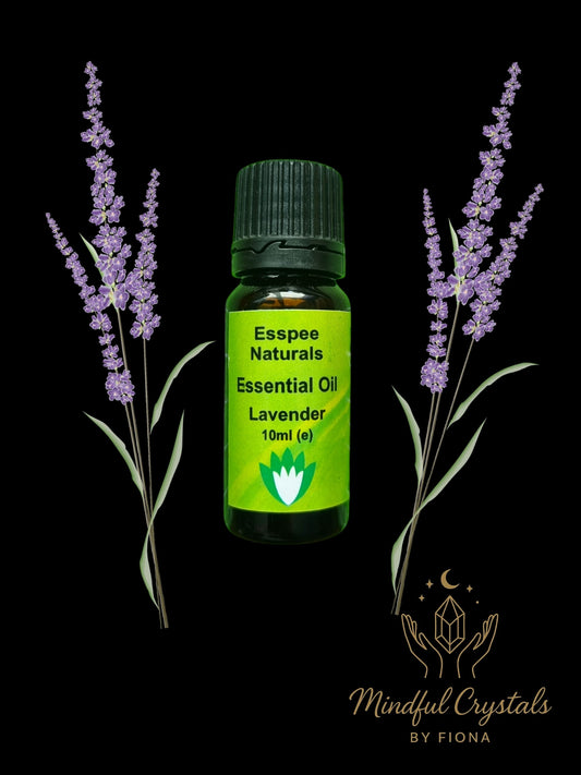 Lavender Essential Oil 10ml