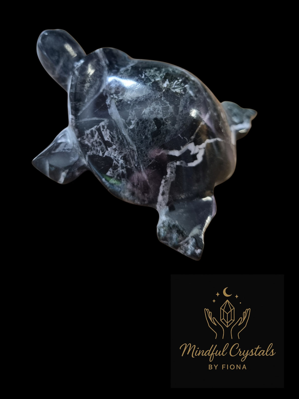 Onyx Turtle