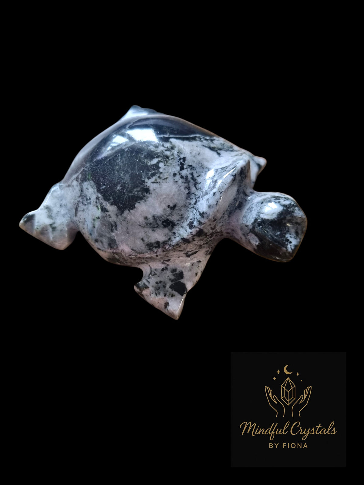 Onyx Turtle