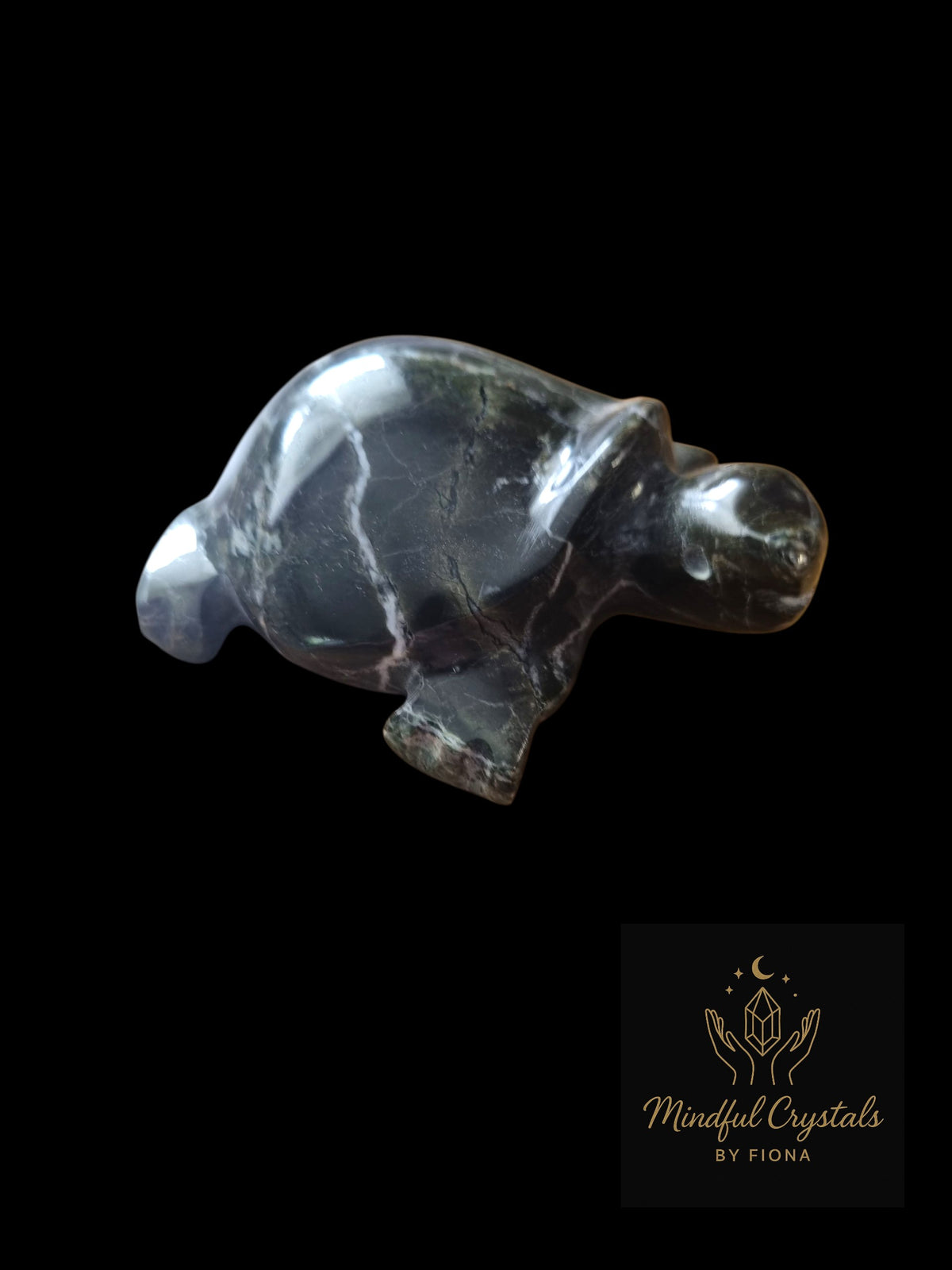 Onyx Turtle